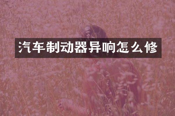 汽车制动器异响怎么修