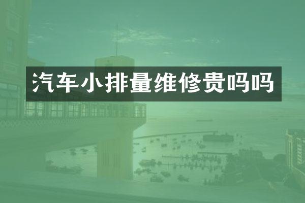 汽车小排量维修贵吗吗