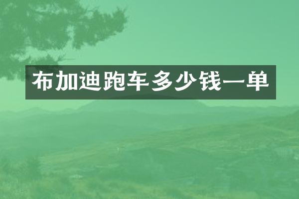布加迪跑车多少钱一单