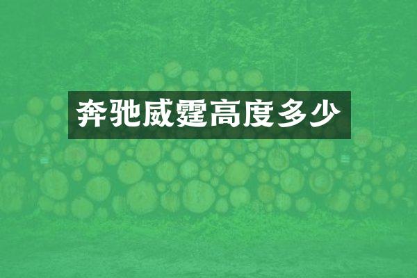 奔驰威霆高度多少