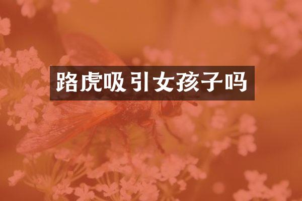 路虎吸引女孩子吗