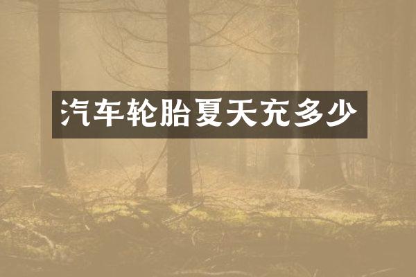 汽车轮胎夏天充多少