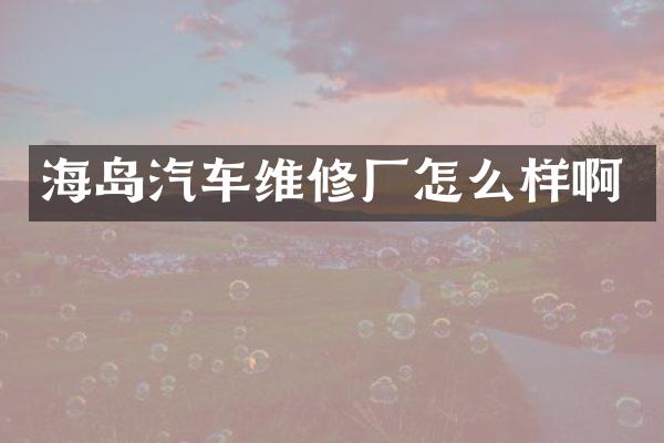 海岛汽车维修厂怎么样啊