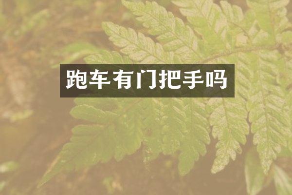 跑车有门把手吗