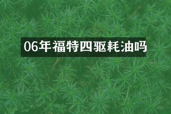 06年福特四驱耗油吗