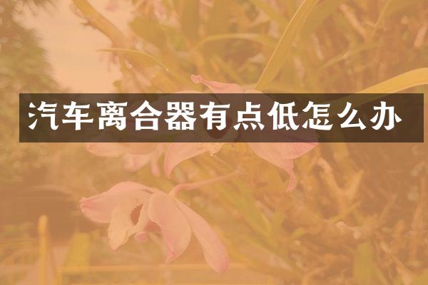 汽车离合器有点低怎么办