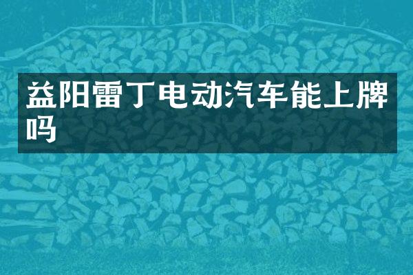 益阳雷丁电动汽车能上牌吗