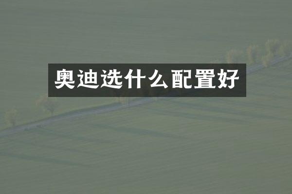 奥迪选什么配置好