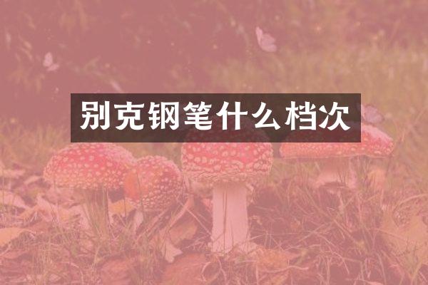 别克钢笔什么档次