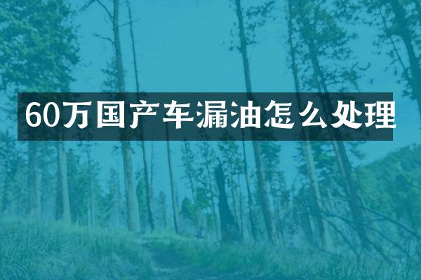 60万国产车漏油怎么处理