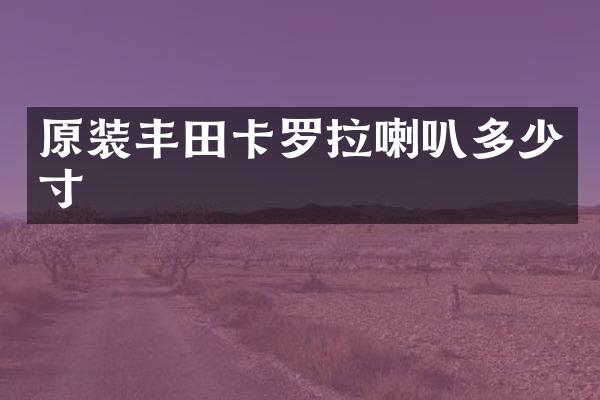 原装丰田卡罗拉喇叭多少寸