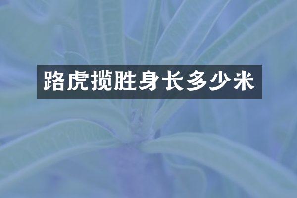 路虎揽胜身长多少米