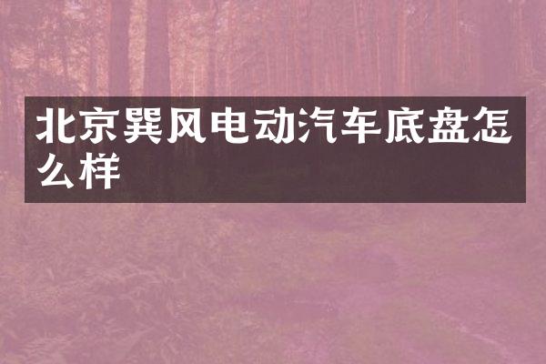 北京巽风电动汽车底盘怎么样