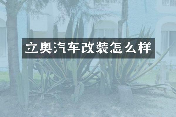 立奥汽车改装怎么样