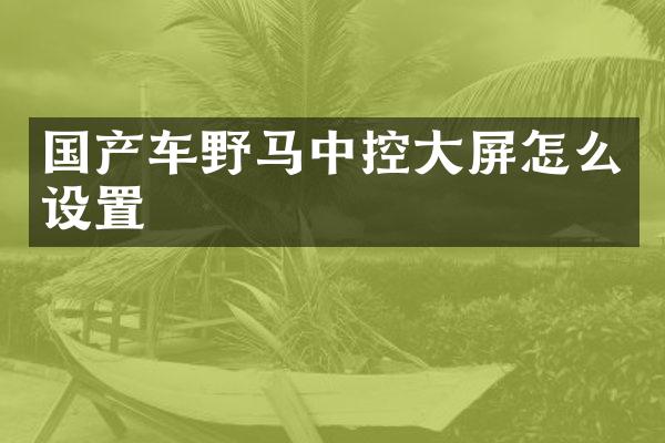 国产车野马中控大屏怎么设置