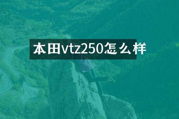 本田vtz250怎么样