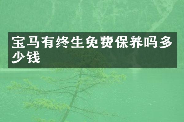 宝马有终生免费保养吗多少钱