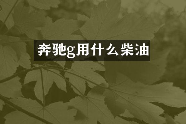 奔驰g用什么柴油