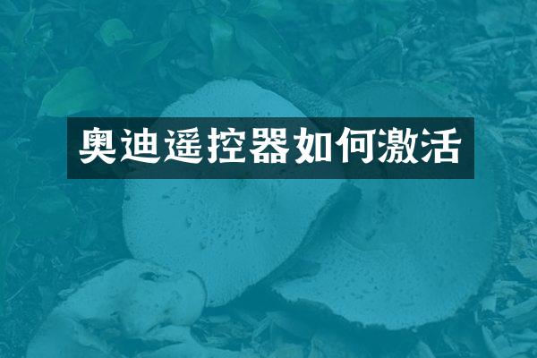 奥迪遥控器如何激活