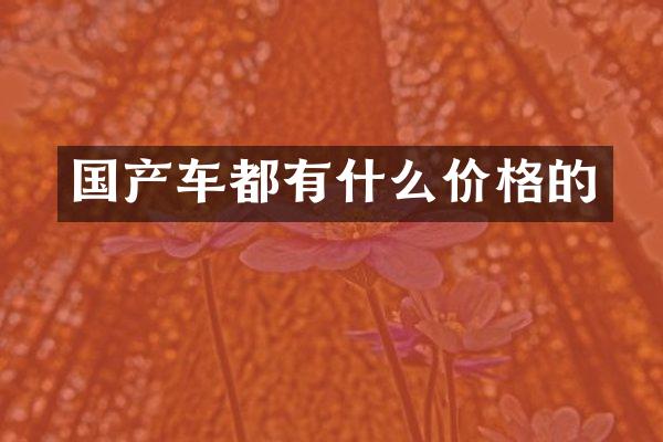 国产车都有什么价格的