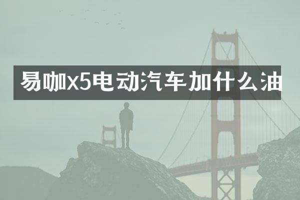 易咖x5电动汽车加什么油