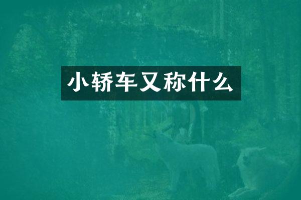 小轿车又称什么