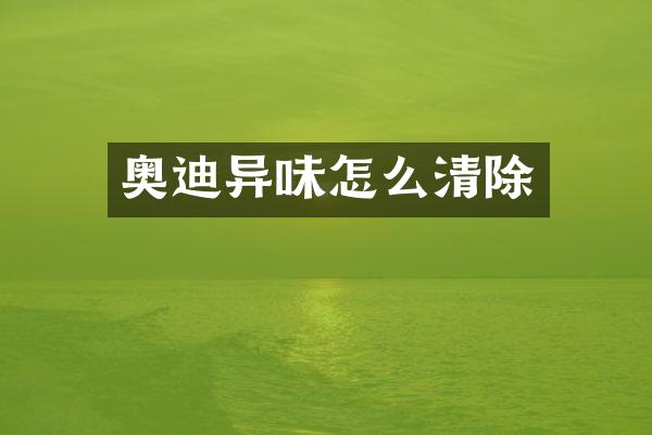 奥迪异味怎么清除