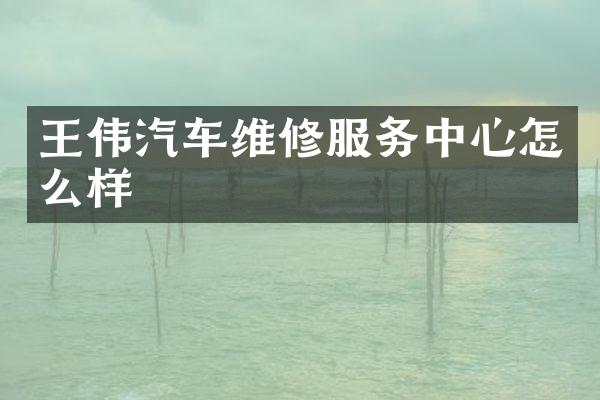王伟汽车维修服务中心怎么样