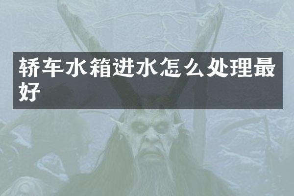 轿车水箱进水怎么处理最好