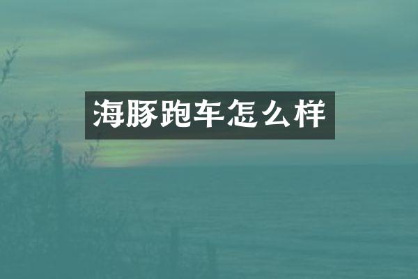 海豚跑车怎么样