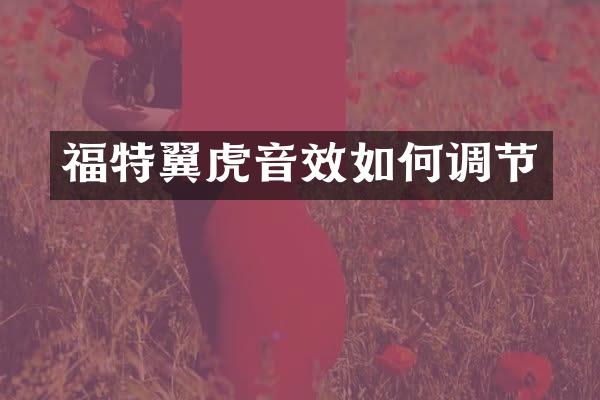 福特翼虎音效如何调节