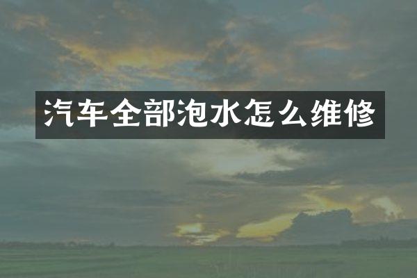 汽车全部泡水怎么维修
