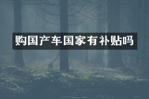 购国产车国家有补贴吗
