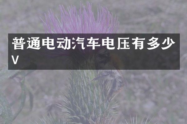 普通电动汽车电压有多少v