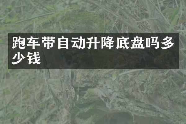 跑车带自动升降底盘吗多少钱