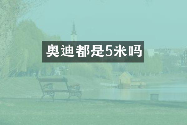 奥迪都是5米吗