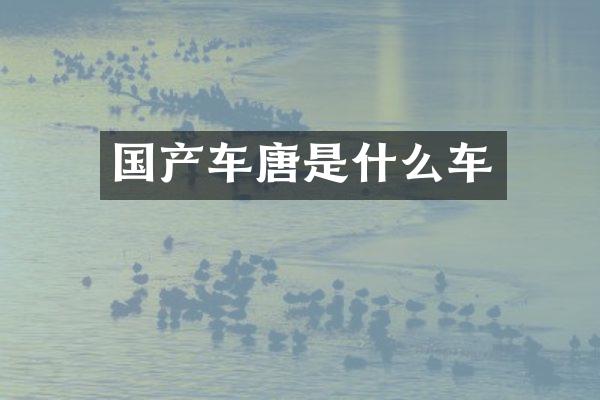 国产车唐是什么车