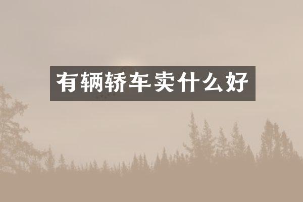 有辆轿车卖什么好