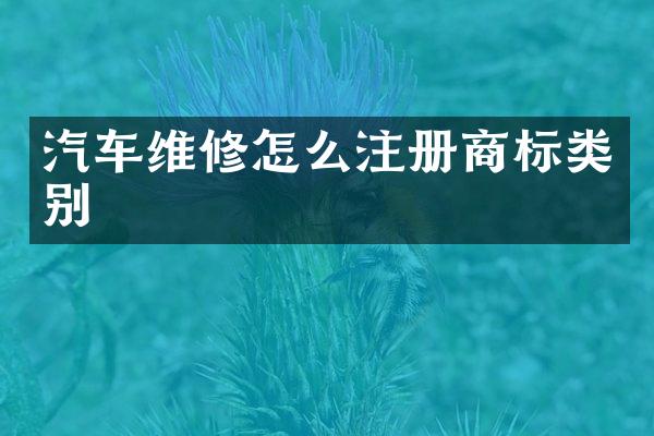 汽车维修怎么注册商标类别