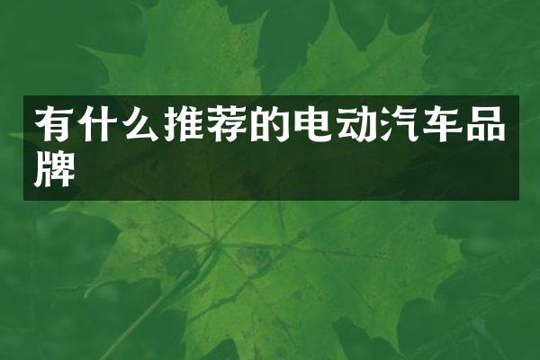 有什么推荐的电动汽车品牌