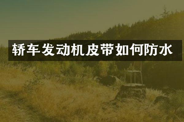 轿车发动机皮带如何防水