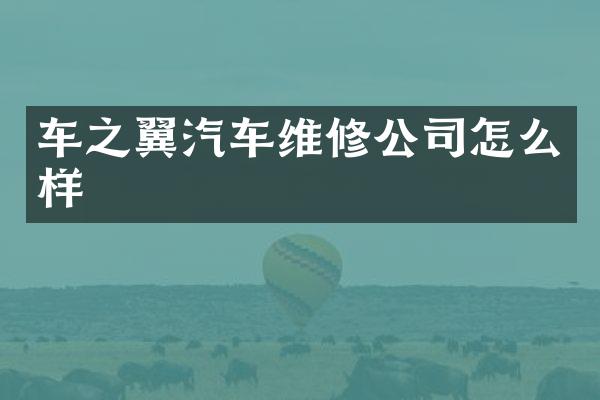 车之翼汽车维修公司怎么样