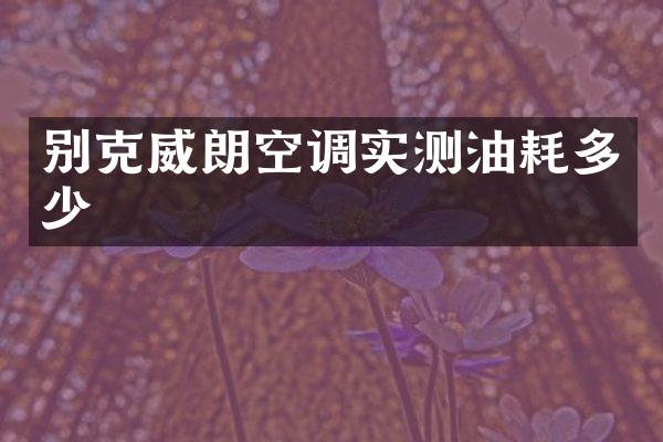 别克威朗空调实测油耗多少