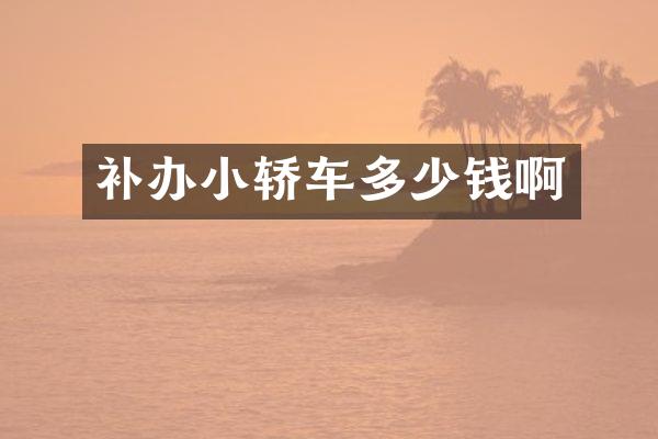 补办小轿车多少钱啊