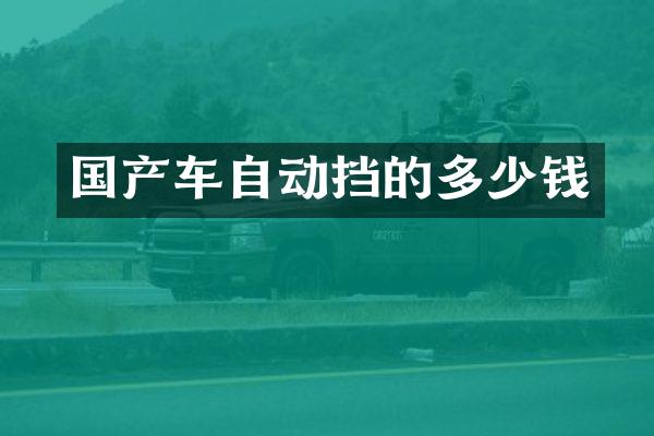 国产车自动挡的多少钱