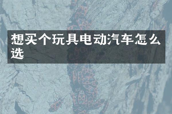 想买个玩具电动汽车怎么选