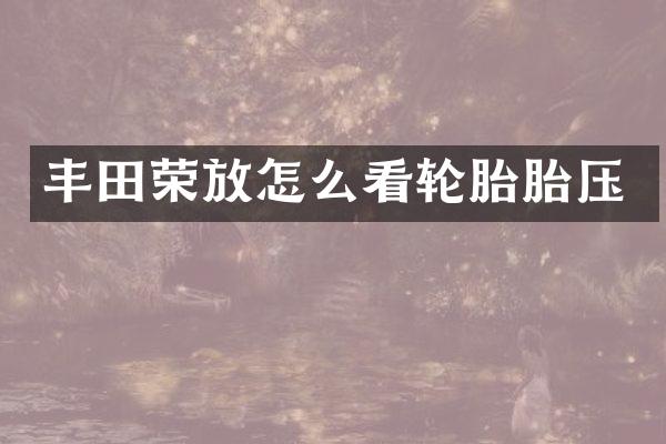 丰田荣放怎么看轮胎胎压