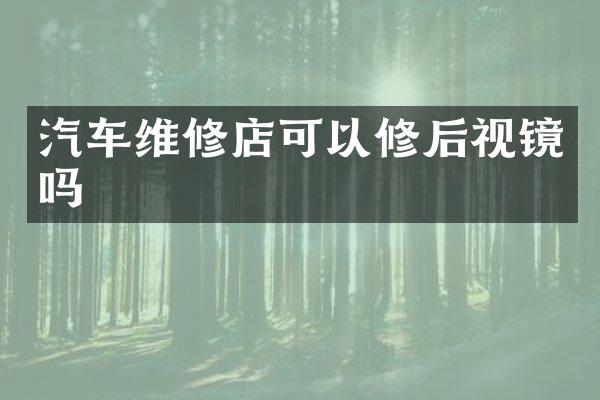 汽车维修店可以修后视镜吗