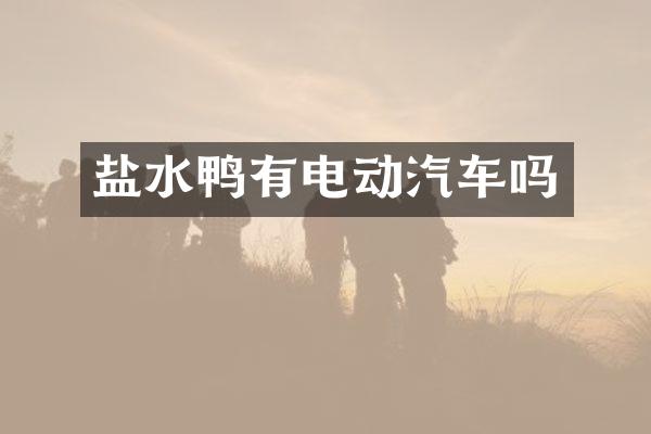盐水鸭有电动汽车吗