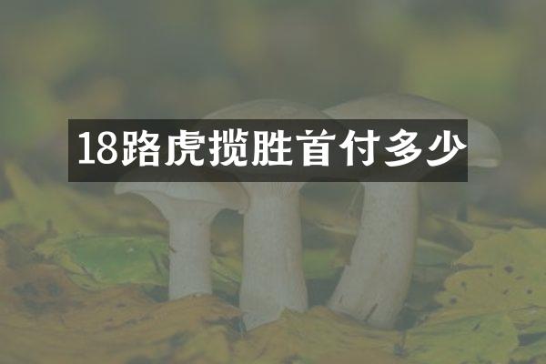 18路虎揽胜首付多少